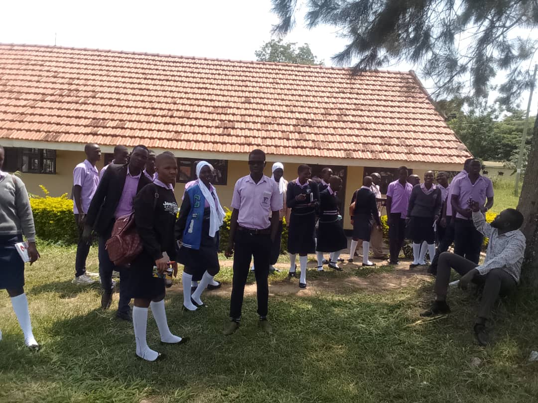 School Grounds