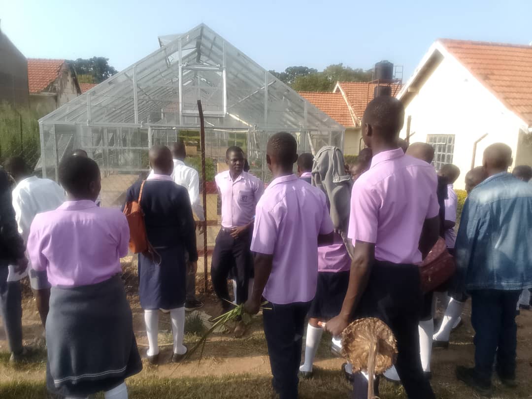 School Grounds